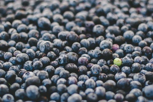 Stand out in a crowd like this one green blueberry in a sea of blue blueberries!